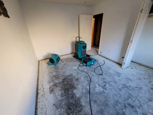 Best Mold removal after water damage  in New Orleans Station, LA