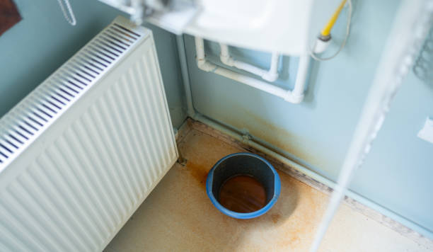 Best Local water damage restoration  in New Orleans Station, LA